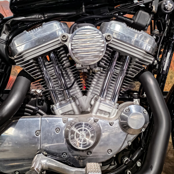 Harley-DAvidson - XL883L - Sportster - 883 Low - 2004 (2) Harley-Davidson - XL883L - Sportster - 883 Low - 2004 (12)