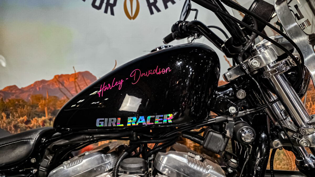 Harley-DAvidson - XL883L - Sportster - 883 Low - 2004 (3) Harley-Davidson - XL883L - Sportster - 883 Low - 2004 (12)