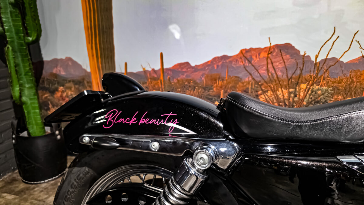 Harley-DAvidson - XL883L - Sportster - 883 Low - 2004 (4) Harley-Davidson - XL883L - Sportster - 883 Low - 2004 (12)