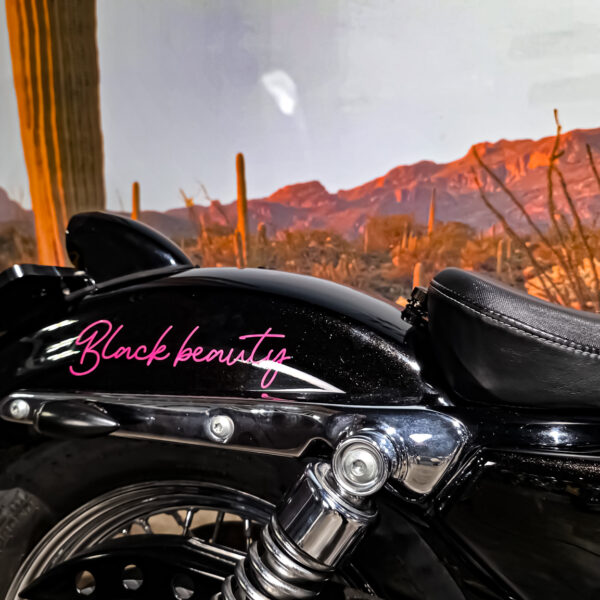 Harley-DAvidson - XL883L - Sportster - 883 Low - 2004 (4) Harley-Davidson - XL883L - Sportster - 883 Low - 2004 (12)