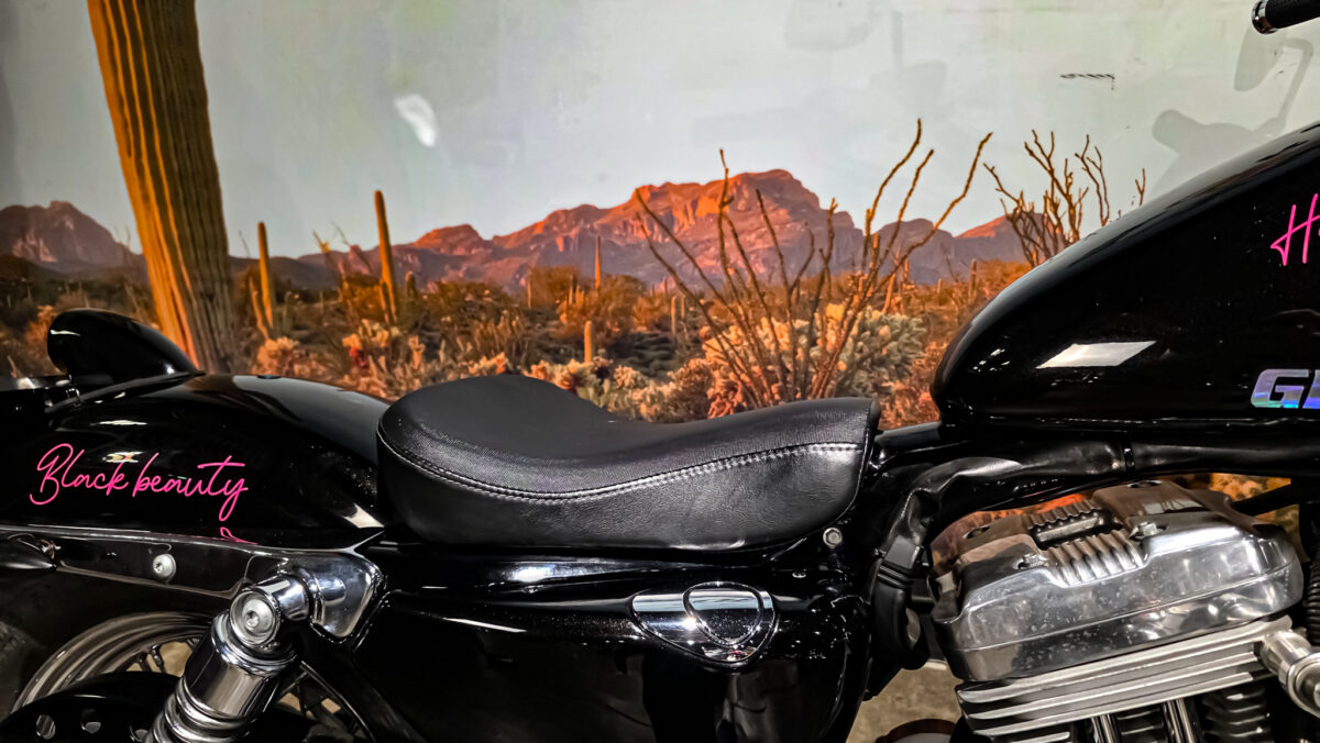 Harley-DAvidson - XL883L - Sportster - 883 Low - 2004 (5) Harley-Davidson - XL883L - Sportster - 883 Low - 2004 (12)