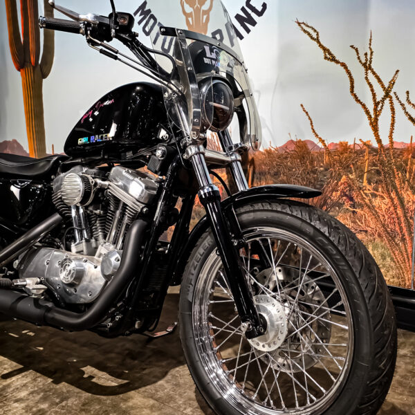 Harley-DAvidson - XL883L - Sportster - 883 Low - 2004 (6) Harley-Davidson - XL883L - Sportster - 883 Low - 2004 (12)