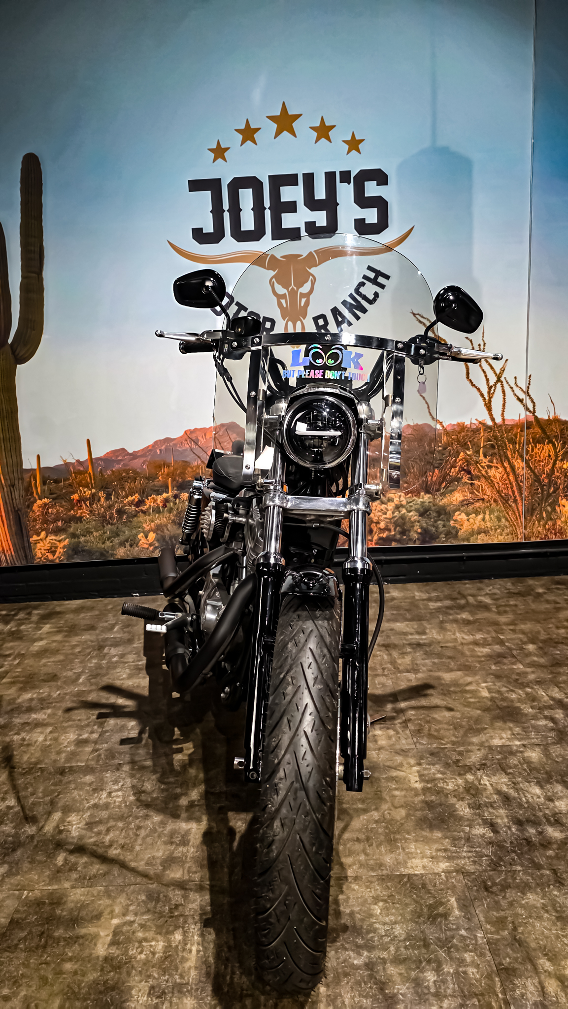 Harley-DAvidson - XL883L - Sportster - 883 Low - 2004 (7) Harley-Davidson - XL883L - Sportster - 883 Low - 2004 (12)