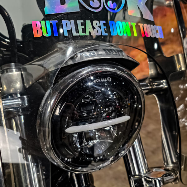 Harley-DAvidson - XL883L - Sportster - 883 Low - 2004 (8) Harley-Davidson - XL883L - Sportster - 883 Low - 2004 (12)