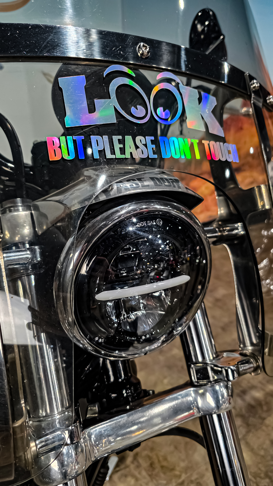 Harley-DAvidson - XL883L - Sportster - 883 Low - 2004 (8) Harley-Davidson - XL883L - Sportster - 883 Low - 2004 (12)