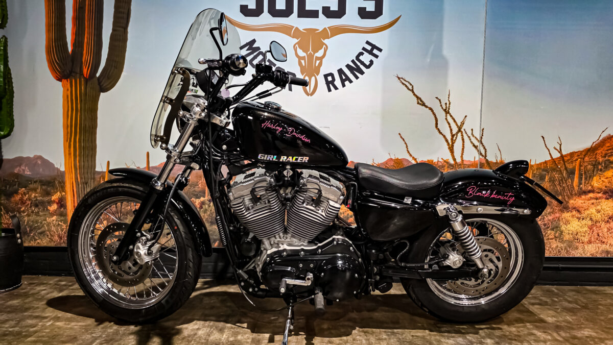 Harley-DAvidson - XL883L - Sportster - 883 Low - 2004 (9) Harley-Davidson - XL883L - Sportster - 883 Low - 2004 (12)