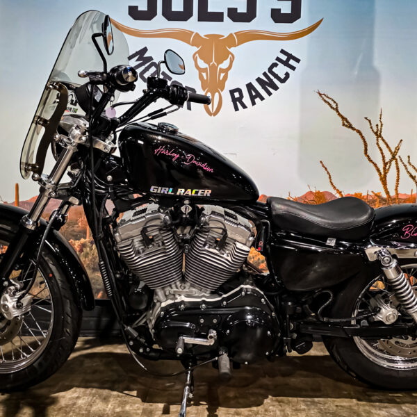 Harley-DAvidson - XL883L - Sportster - 883 Low - 2004 (9) Harley-Davidson - XL883L - Sportster - 883 Low - 2004 (12)