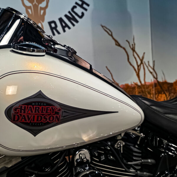 Harley-Davidson - FLSTC - Heritage Classic Softail - 2001 (10) Harley-Davidson - FLSTC - Heritage Classic Softail - 2001 (1)