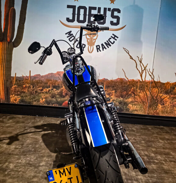 Harley Davidson, FXD, Dyna Super Glide, 1996