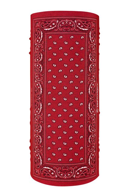 Zan-motley-tube-red-paisly-joeys-motor-ranch zan motley tube red paisly