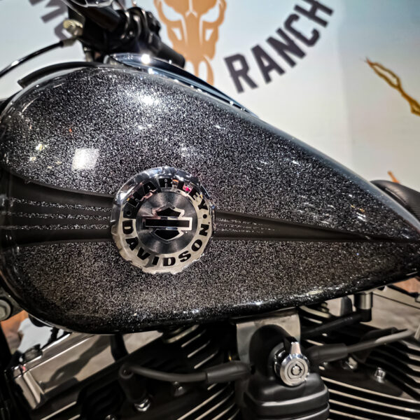 Harley-Davidson - FXSB - Breakout - 2013 Harley-Davidson - FXSB - Breakout - 2013