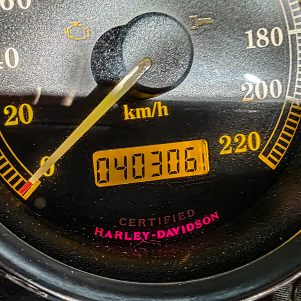 Harley-Davidson - Sportster custom 1200 - XL1200C - 2001 (8)