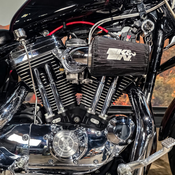 Harley-Davidson - Sportster custom 1200 - XL1200C - 2001 (8)