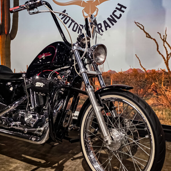 Harley-Davidson - Sportster custom 1200 - XL1200C - 2001 (8)