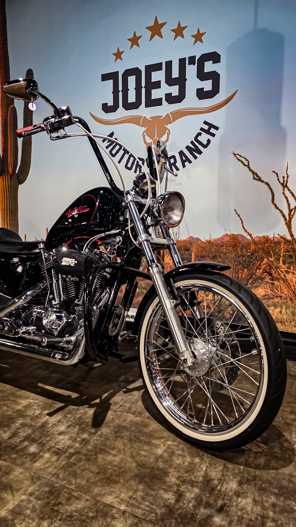 Harley-Davidson - Sportster custom 1200 - XL1200C - 2001 (8)