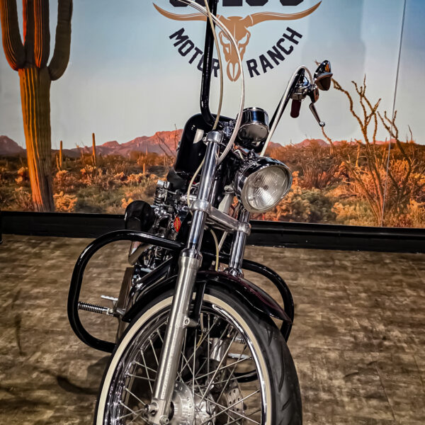 Harley-Davidson - Sportster custom 1200 - XL1200C - 2001 (8)