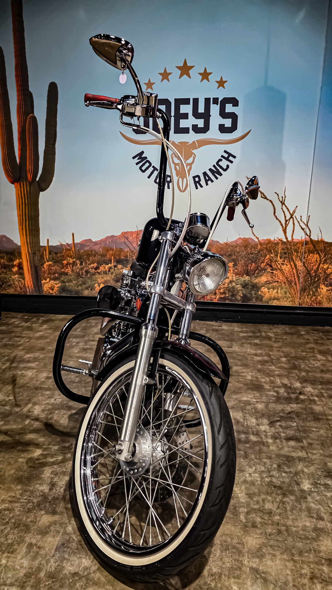 Harley-Davidson - Sportster custom 1200 - XL1200C - 2001 (8)