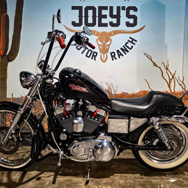 Harley-Davidson - Sportster custom 1200 - XL1200C - 2001 (8)