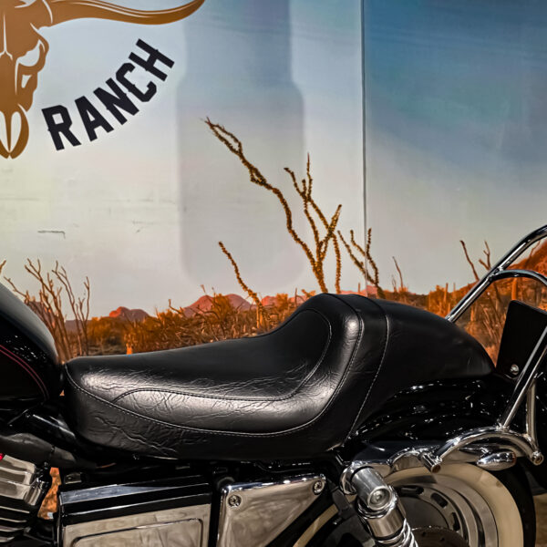 Harley-Davidson - Sportster custom 1200 - XL1200C - 2001 (8)