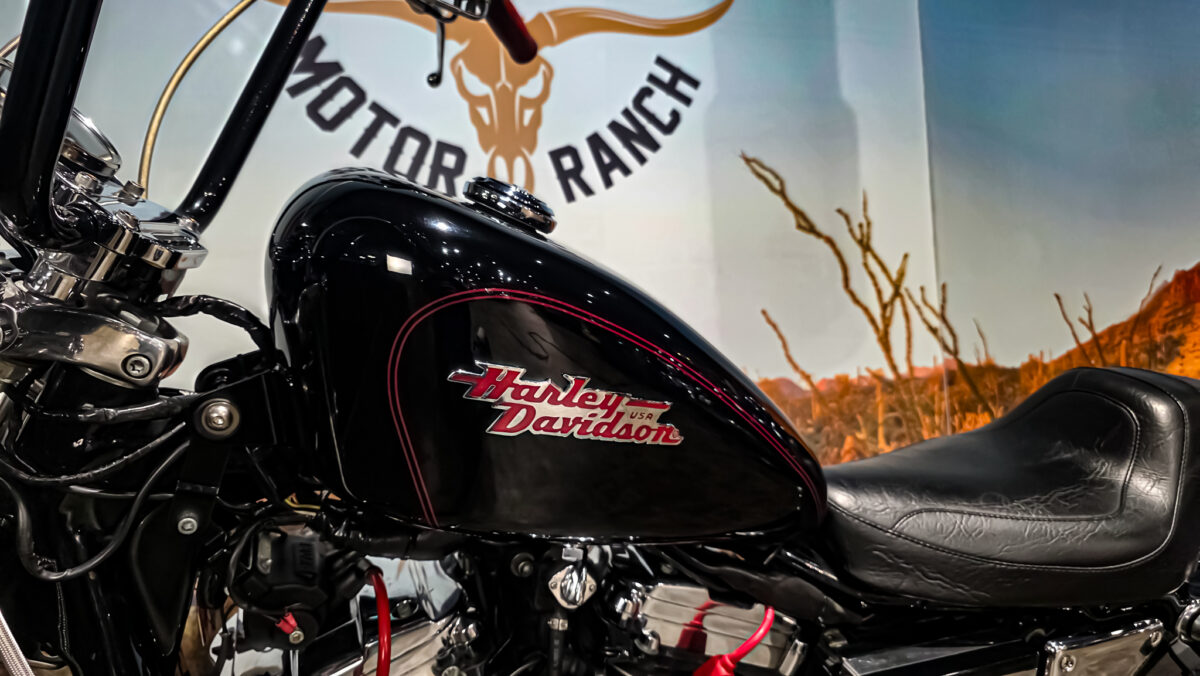 Harley-Davidson - Sportster custom 1200 - XL1200C - 2001 (8)