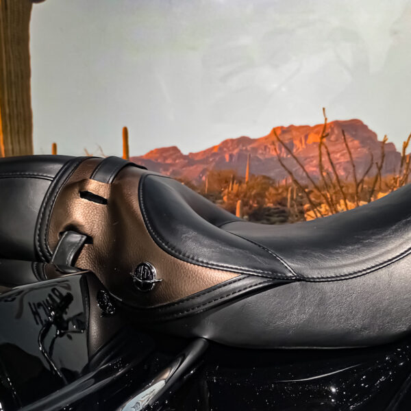 Harley-Davidson - FLHTK - Electra Glide Ultra Limited - 110th Anniversary - 2013 (11)