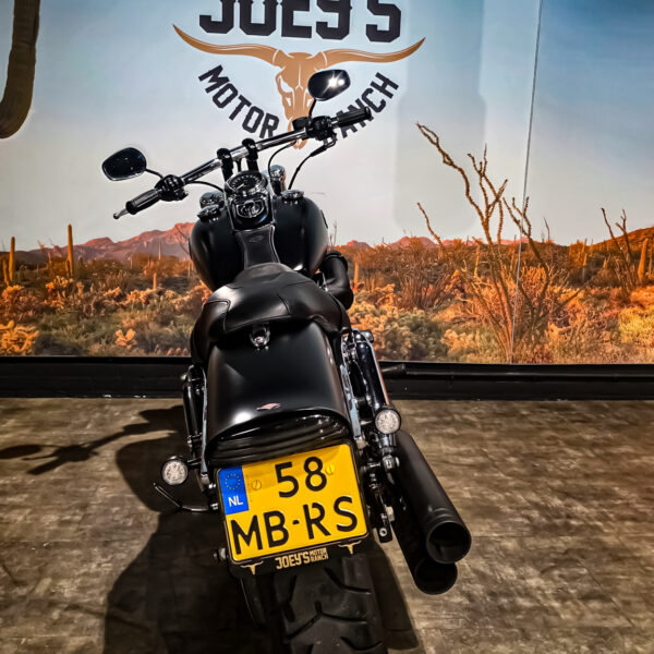 Harley-Davidson - FXDF - Fat Bob - 2012