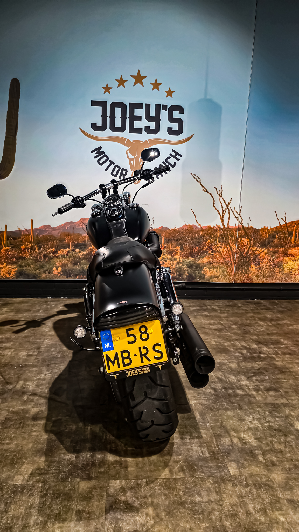 Harley-Davidson - FXDF - Fat Bob - 2012