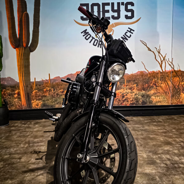 Harley-Davidson - Iron 1200 - XL1200NS - 2020 (11)