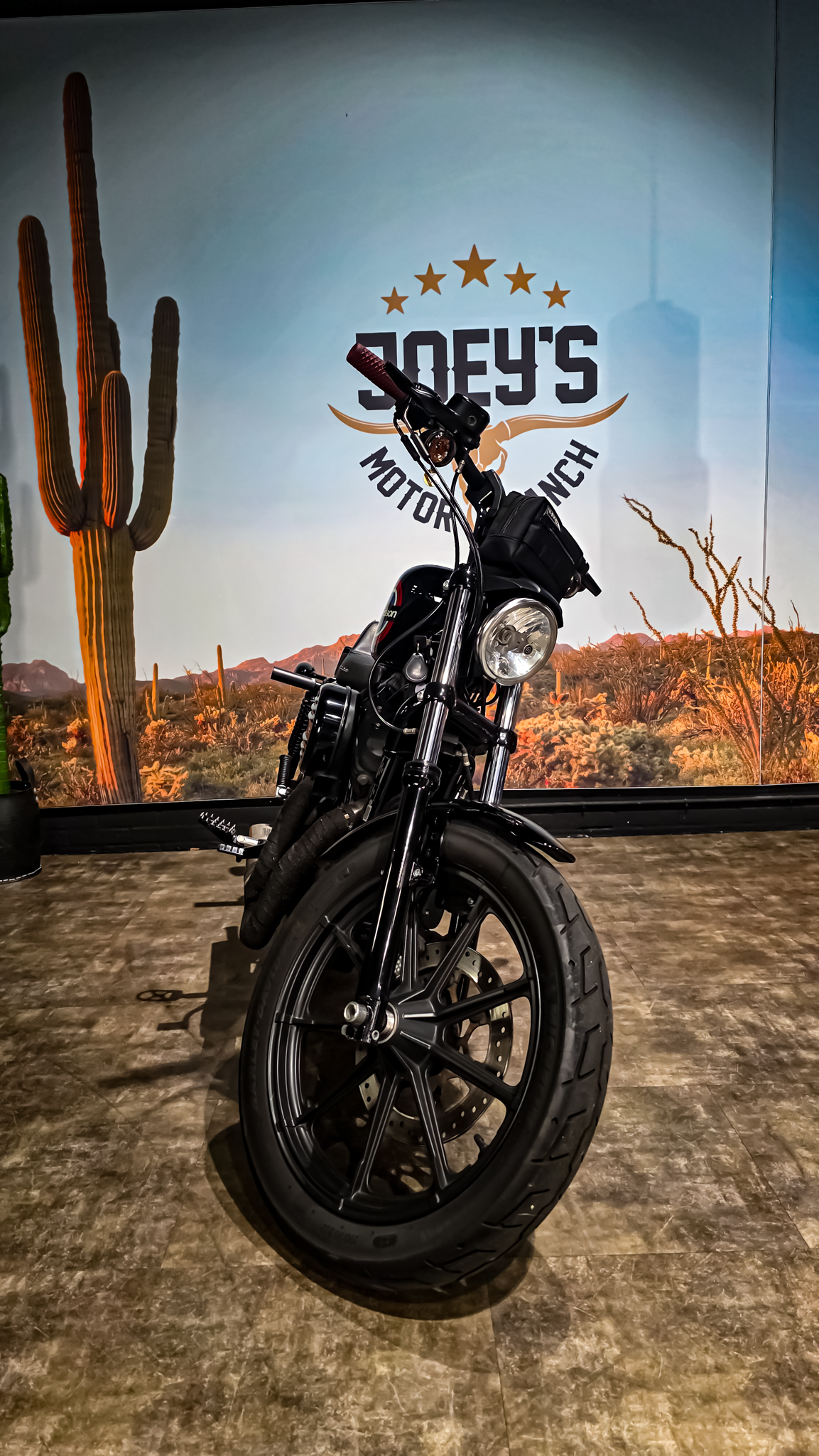 Harley-Davidson - Iron 1200 - XL1200NS - 2020 (11)