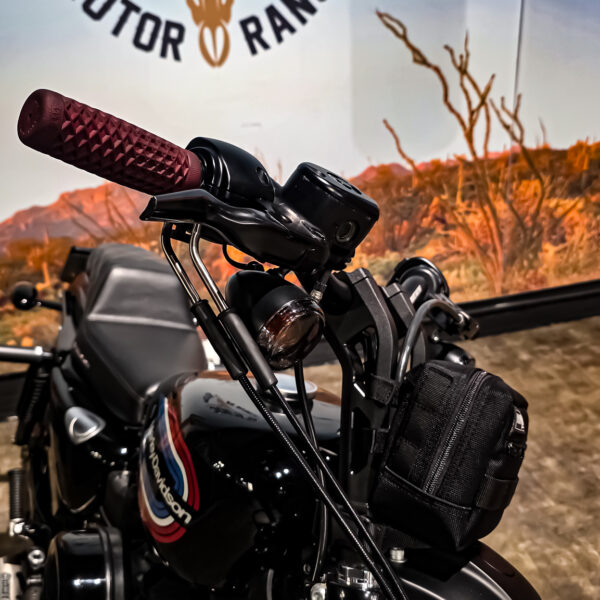 Harley-Davidson - Iron 1200 - XL1200NS - 2020 (11)