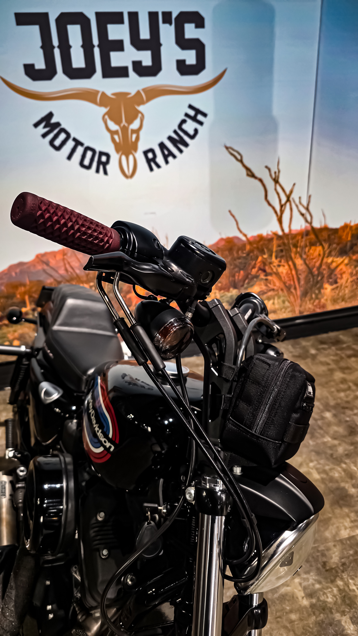 Harley-Davidson - Iron 1200 - XL1200NS - 2020 (11)