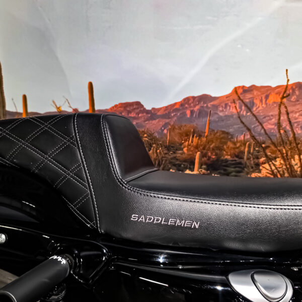 Harley-Davidson - Iron 1200 - XL1200NS - 2020 (11)