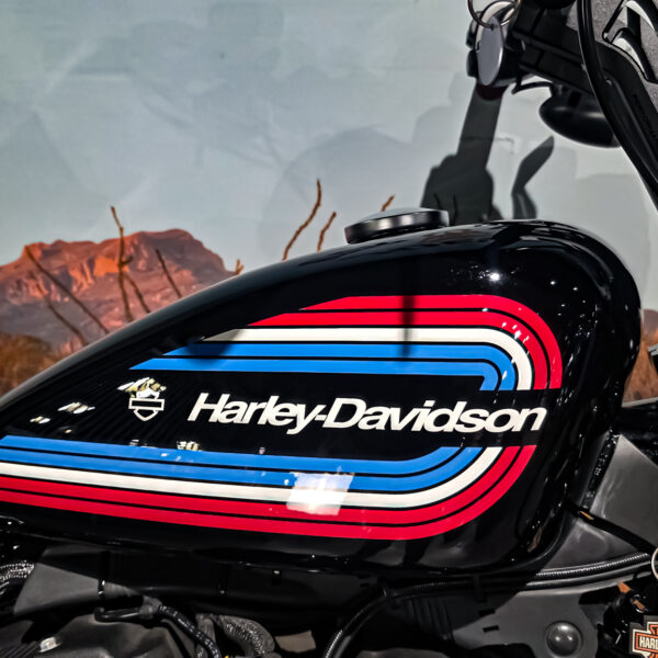 Harley-Davidson - Iron 1200 - XL1200NS - 2020 (11)