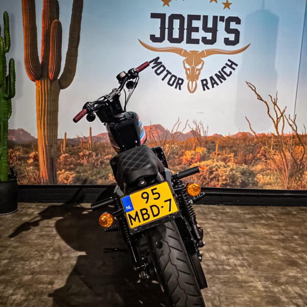 Harley-Davidson - Iron 1200 - XL1200NS - 2020 (11)