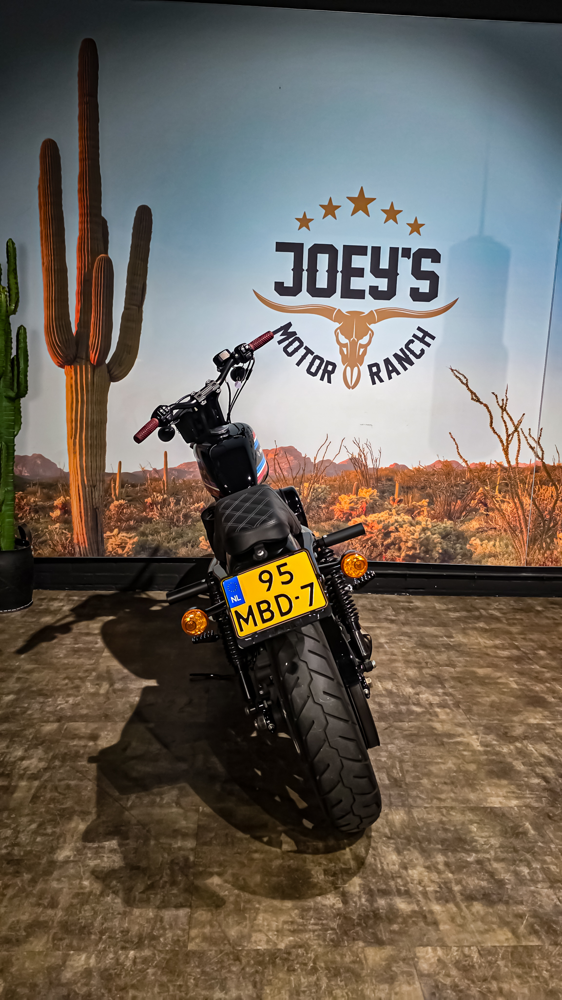 Harley-Davidson - Iron 1200 - XL1200NS - 2020 (11)