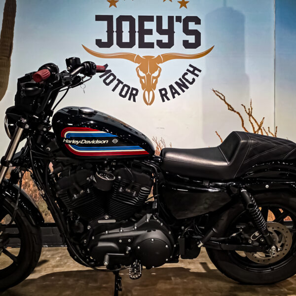 Harley-Davidson - Iron 1200 - XL1200NS - 2020 (11)