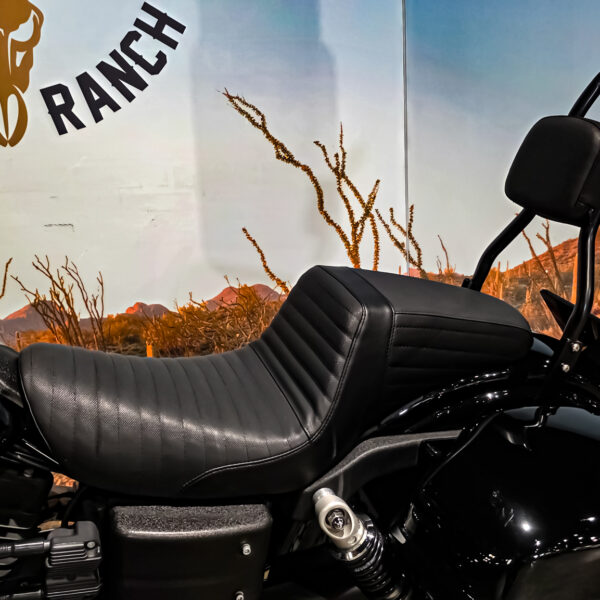 Harley Davidson, Clubstyle, Dyna, Super Glide Sport, FXDX, 2004