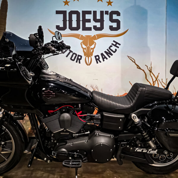 Harley Davidson, Clubstyle, Dyna, Super Glide Sport, FXDX, 2004