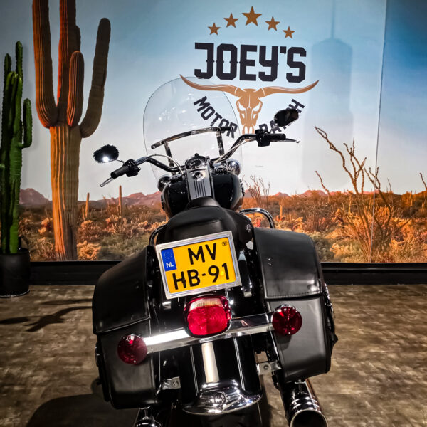 Harley-Davidson - Road King Classic - FLHRC - 2009 - Jekill and hyde (10)