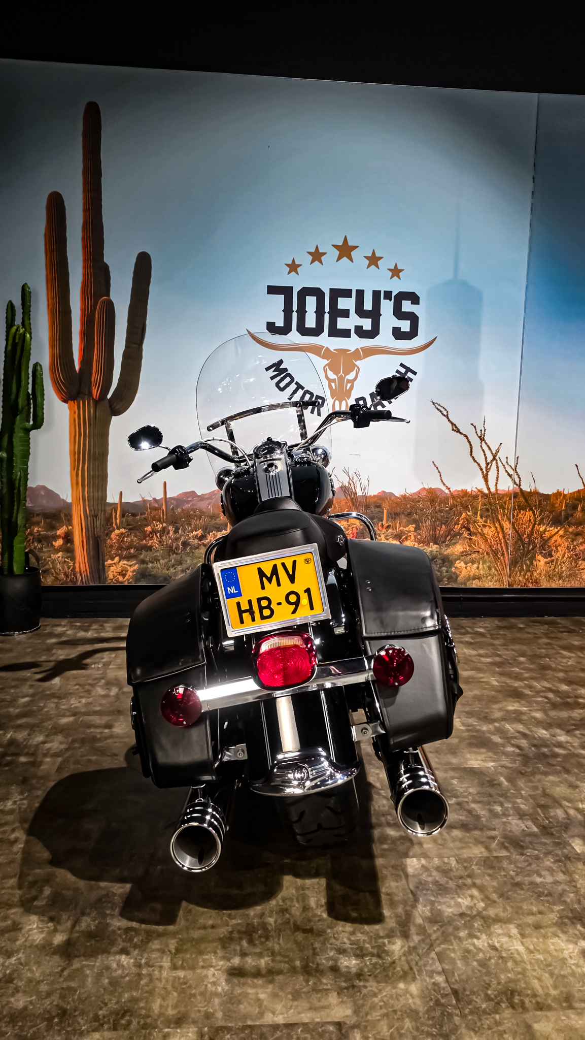Harley-Davidson - Road King Classic - FLHRC - 2009 - Jekill and hyde (10)