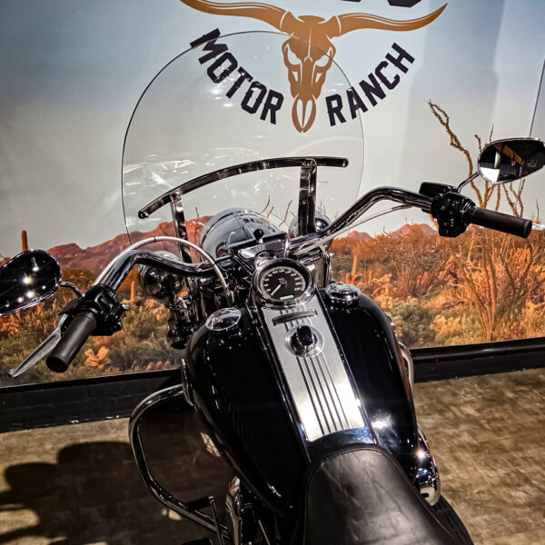 Harley-Davidson - Road King Classic - FLHRC - 2009 - Jekill and hyde (10)