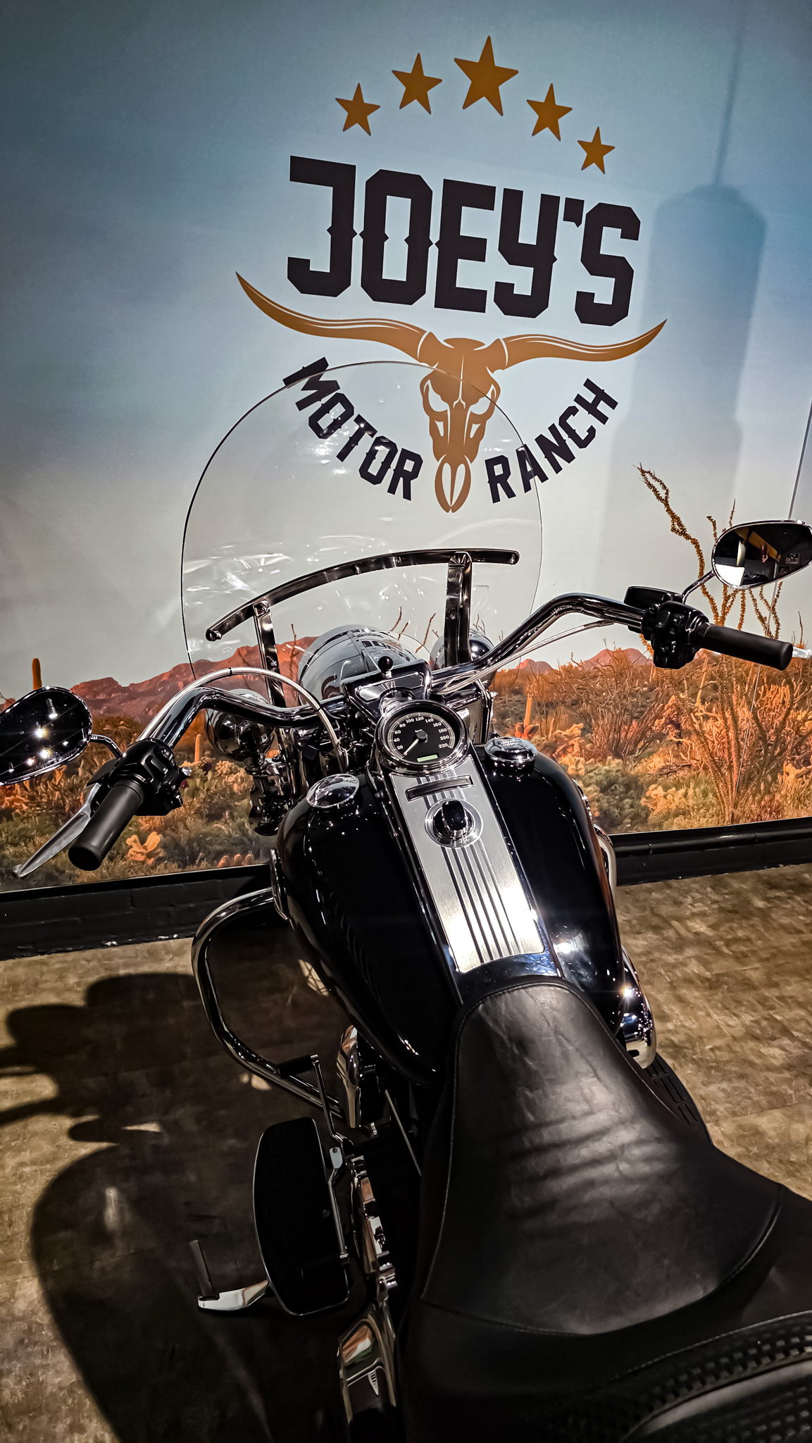 Harley-Davidson - Road King Classic - FLHRC - 2009 - Jekill and hyde (10)