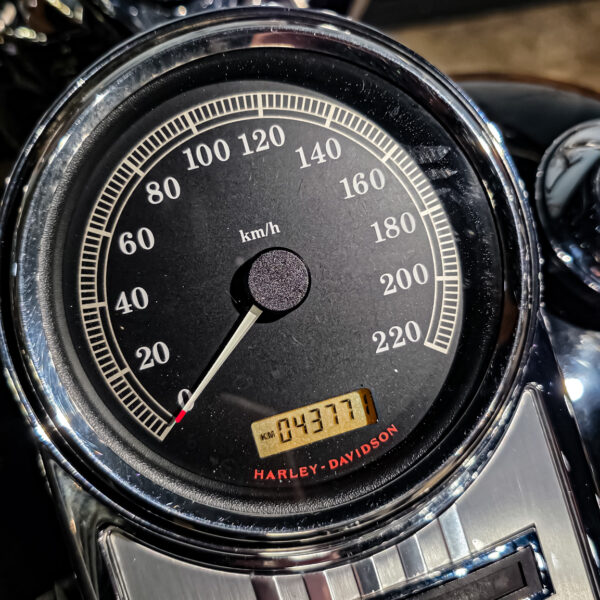 Harley-Davidson - Road King Classic - FLHRC - 2009 - Jekill and hyde (10)