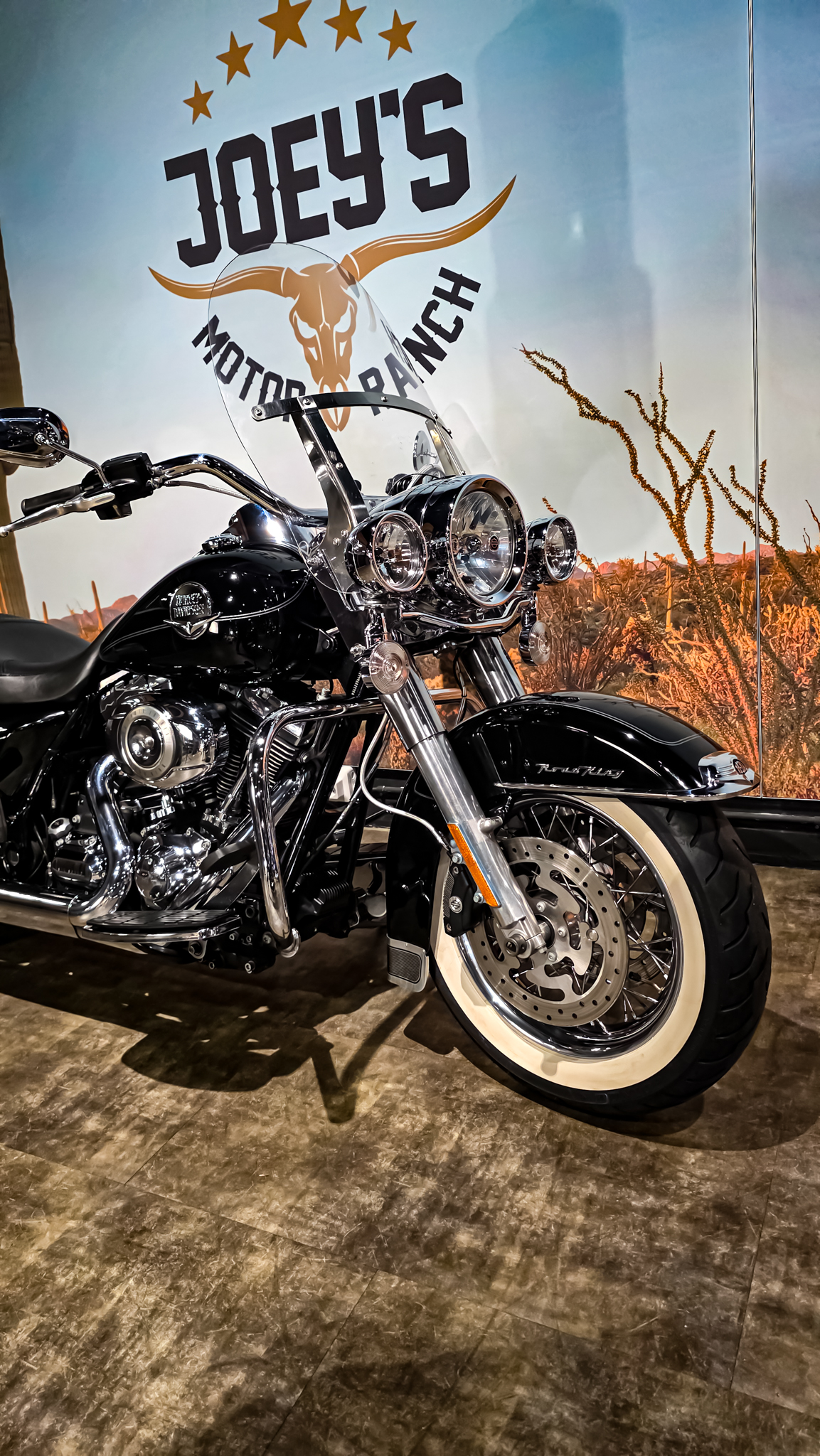 Harley-Davidson - Road King Classic - FLHRC - 2009 - Jekill and hyde (10)