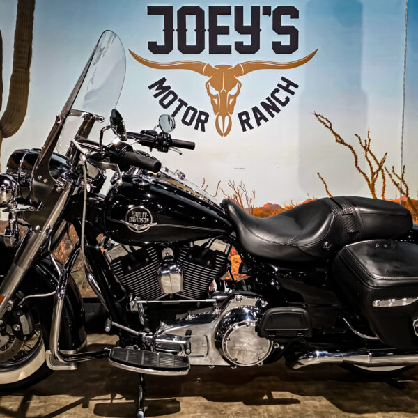 Harley-Davidson - Road King Classic - FLHRC - 2009 - Jekill and hyde (10)