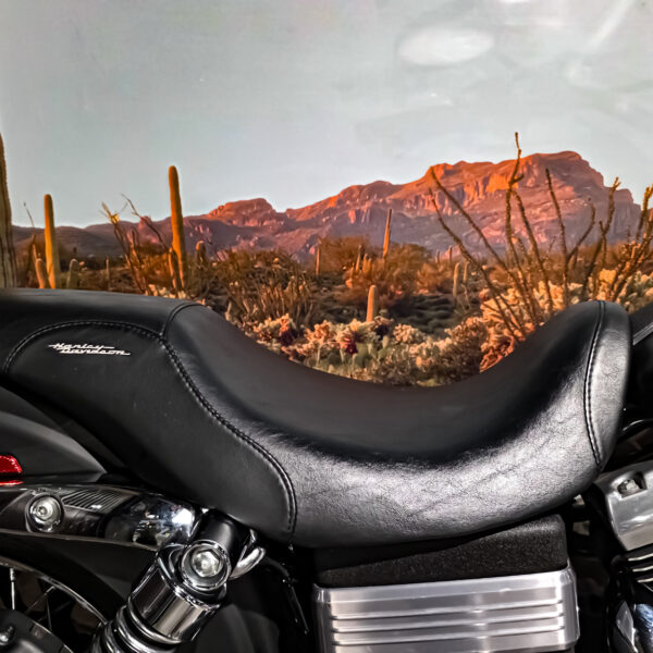 Harley-Davidson - Steet Bob - FXDB - 2006 (10)