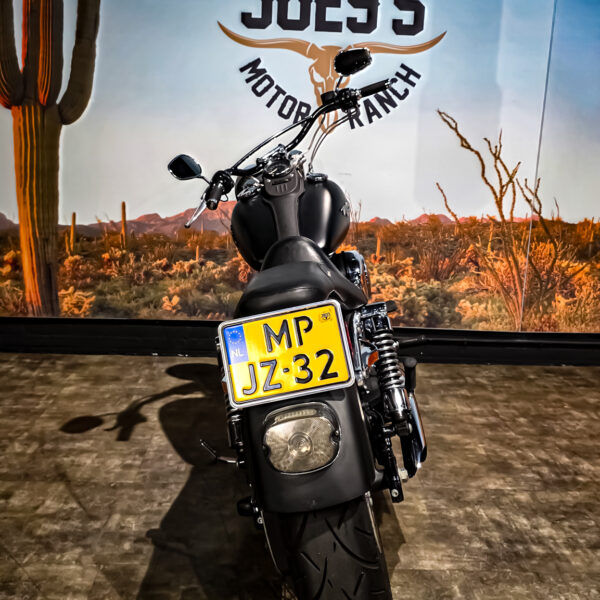 Harley-Davidson - Steet Bob - FXDB - 2006 (10)