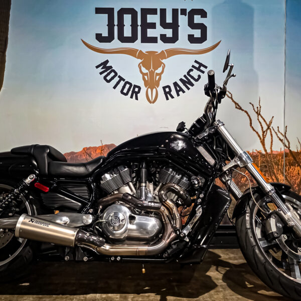 Harley-Davidson - VROD Muscle - VRSCF - 2015 (1)