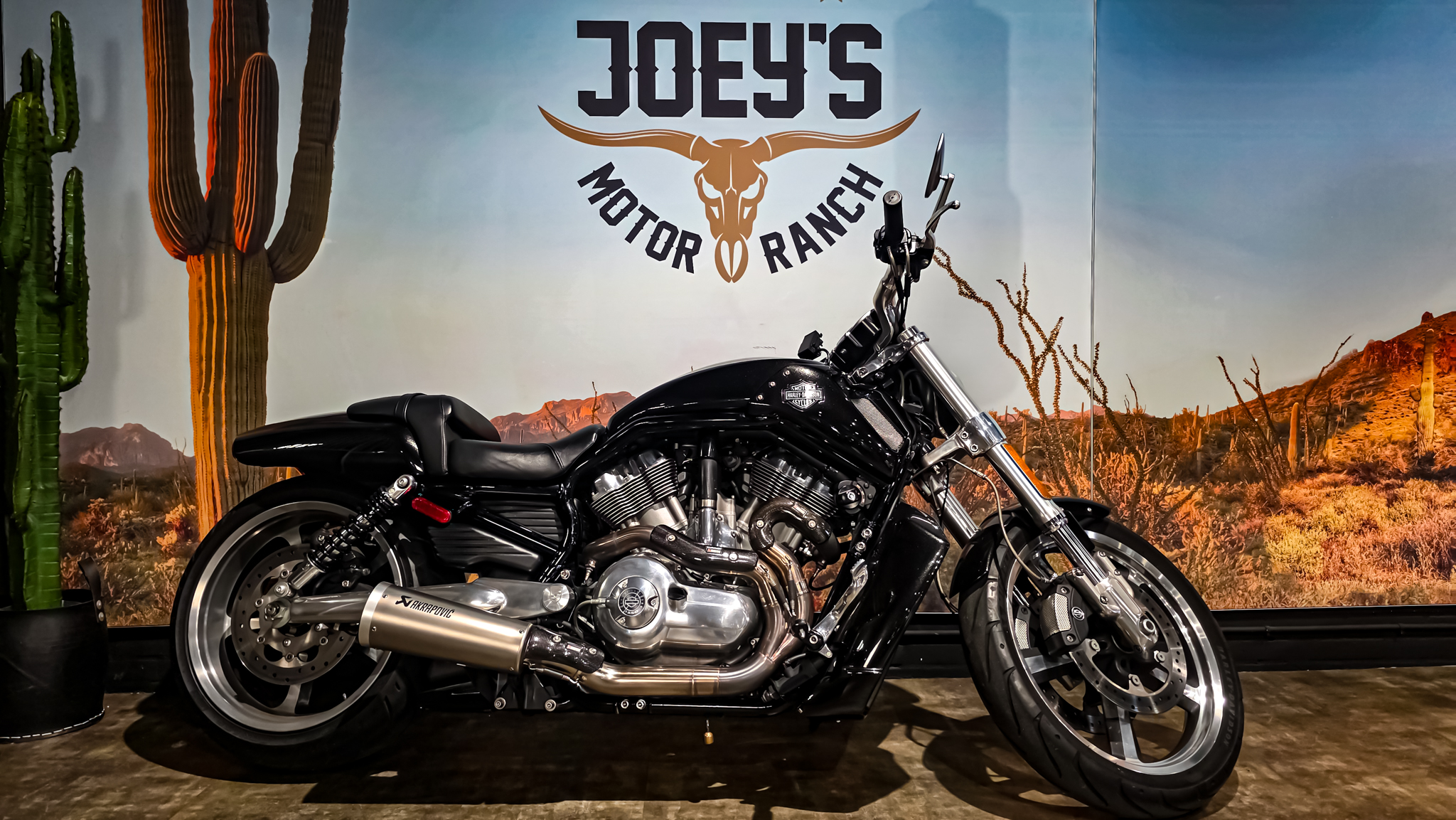 Harley-Davidson - VROD Muscle - VRSCF - 2015 (1)