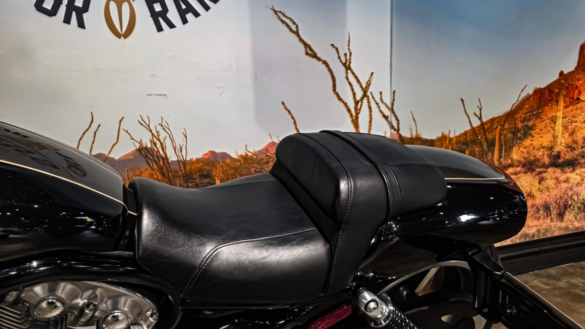 Harley-Davidson - VROD Muscle - VRSCF - 2015 (1)